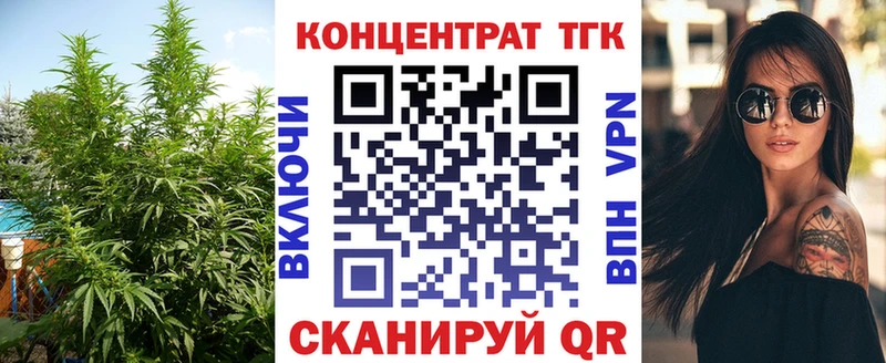 купить наркотики цена  блэк спрут зеркало  Дистиллят ТГК концентрат  Гороховец 